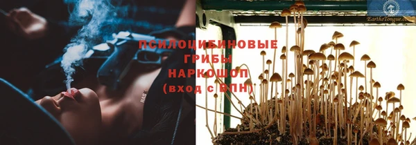 сатива Надым