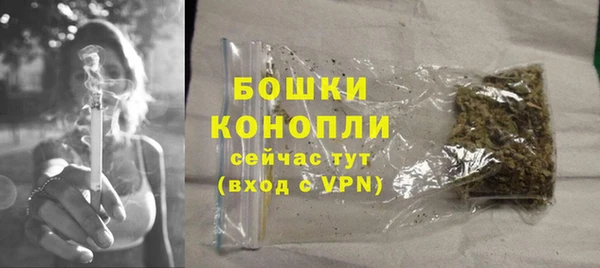 сатива Надым