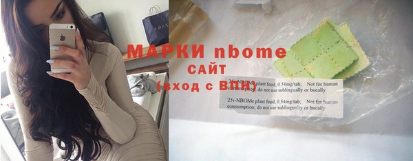 сатива Надым
