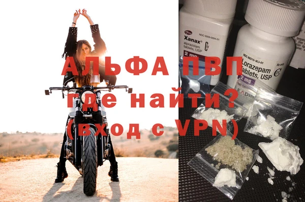 сатива Надым