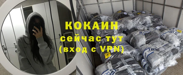 сатива Надым